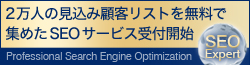 ネット集客 SEOコンサルティング